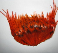 rooster saddle ������ ���������  (�������� �������� ����) 